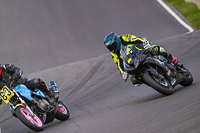 Lower Group Black Bikes